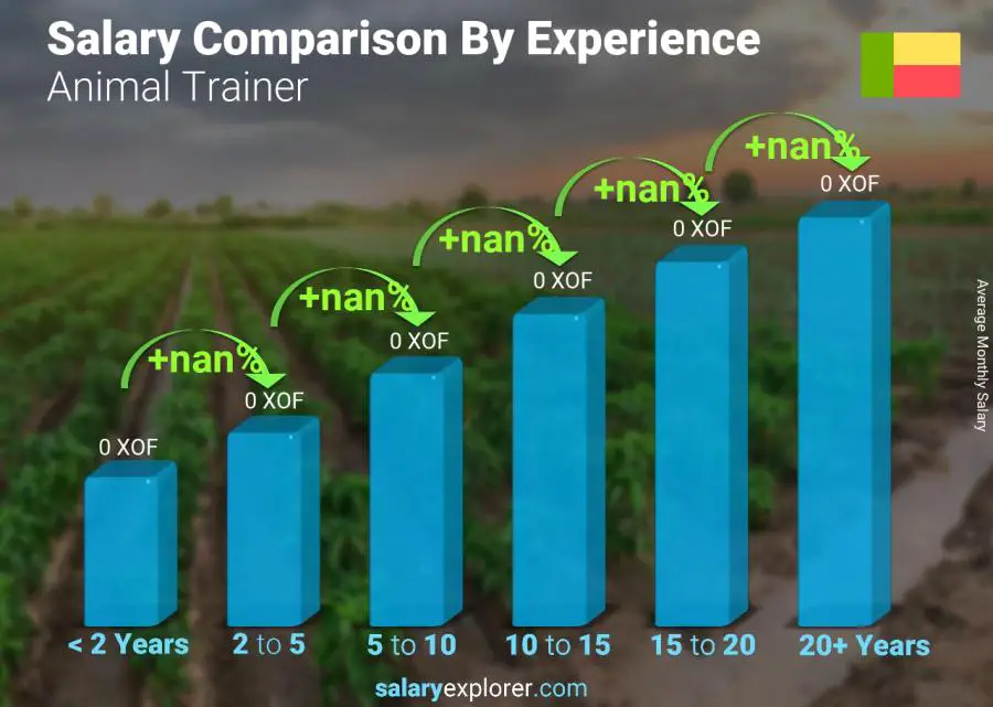 Salary comparison by years of experience monthly Benin Animal Trainer