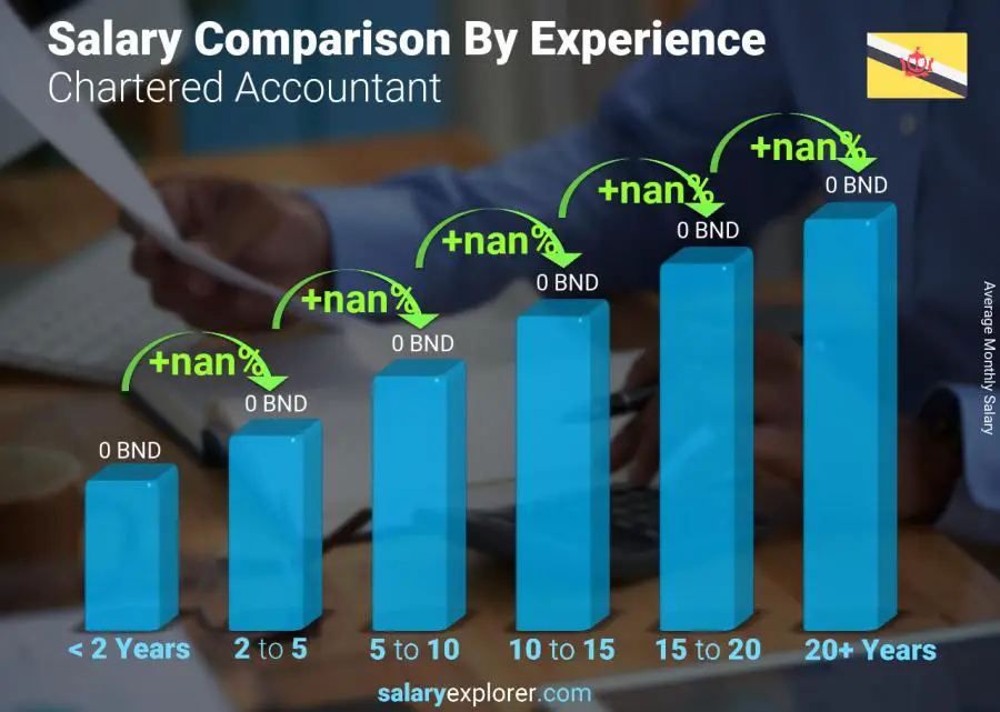 Salary comparison by years of experience monthly Brunei Chartered Accountant