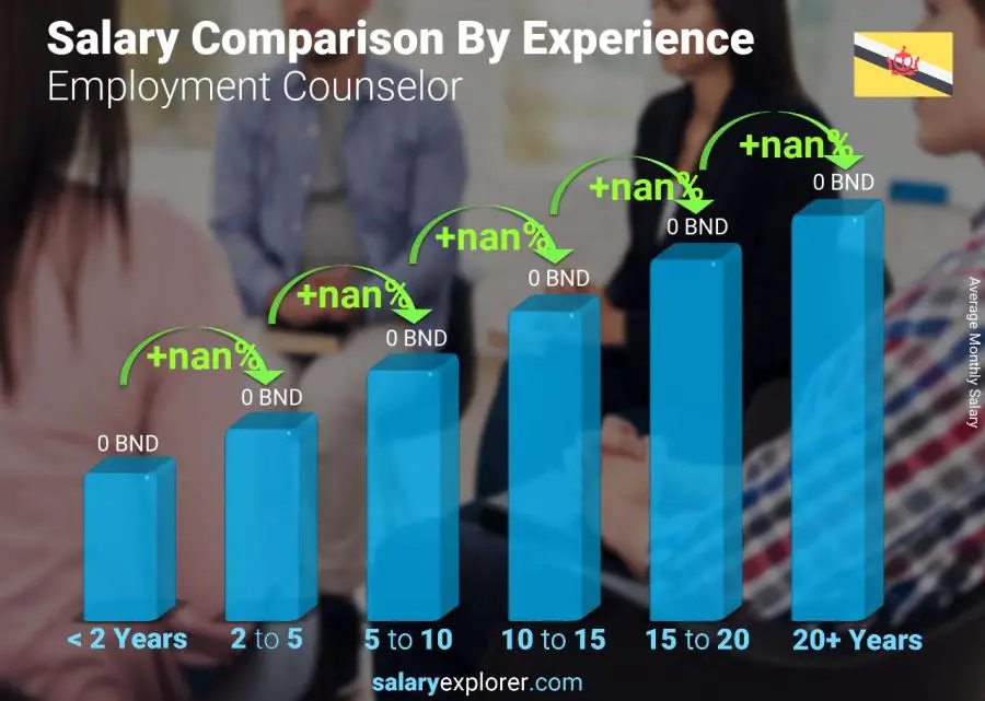 Salary comparison by years of experience monthly Brunei Employment Counselor