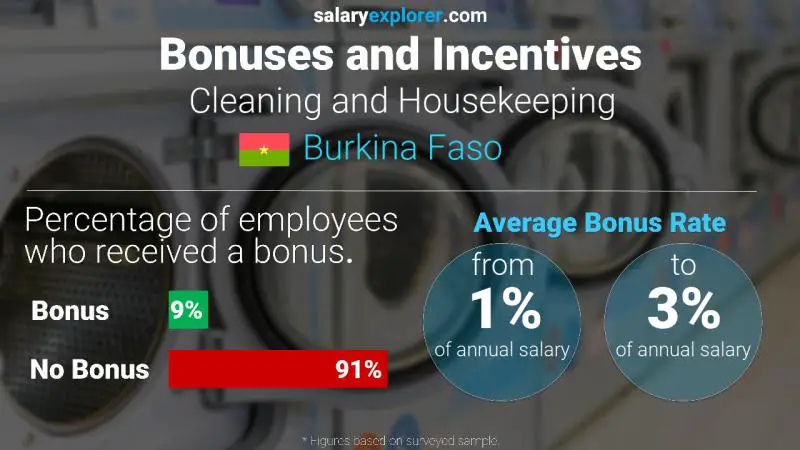 Annual Salary Bonus Rate Burkina Faso Cleaning and Housekeeping