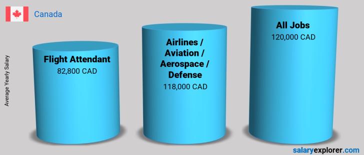 Flight Attendant Average Salary in Canada 2023 - The Complete Guide