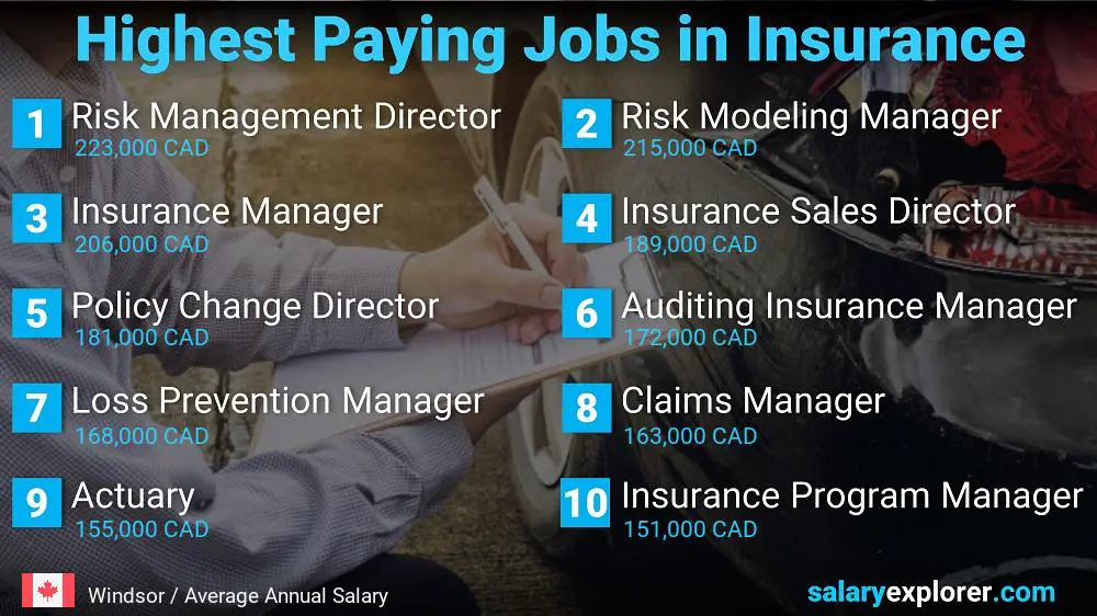 Highest Paying Jobs in Insurance - Windsor