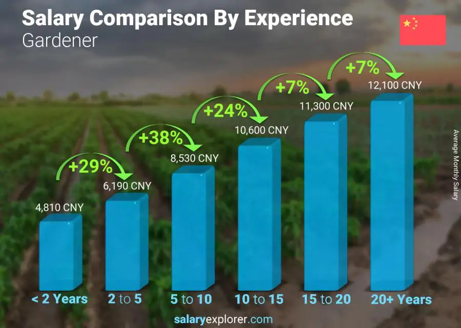 Salary comparison by years of experience monthly China Gardener