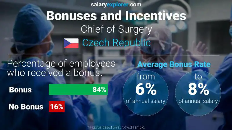 Annual Salary Bonus Rate Czech Republic Chief of Surgery