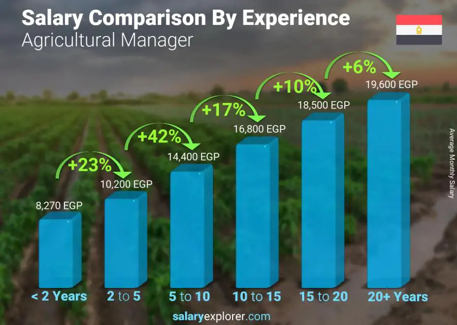 Salary comparison by years of experience monthly Egypt Agricultural Manager