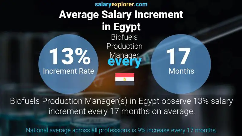 Annual Salary Increment Rate Egypt Biofuels Production Manager