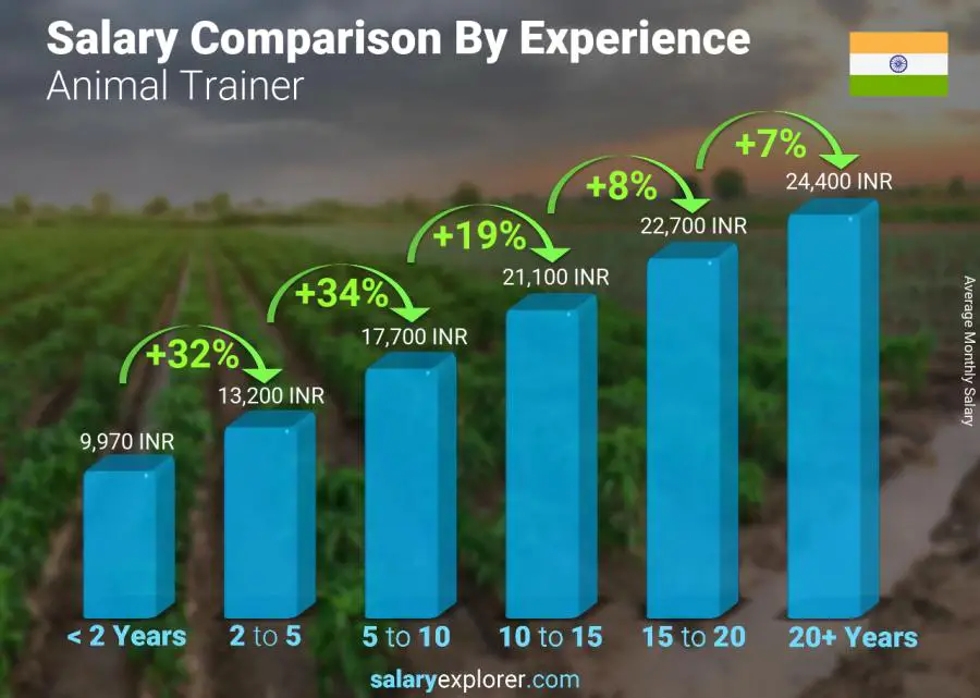 Salary comparison by years of experience monthly India Animal Trainer