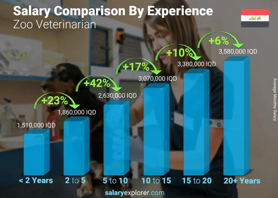 Salary comparison by years of experience monthly Iraq Zoo Veterinarian