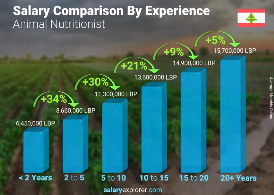 Salary comparison by years of experience monthly Lebanon Animal Nutritionist