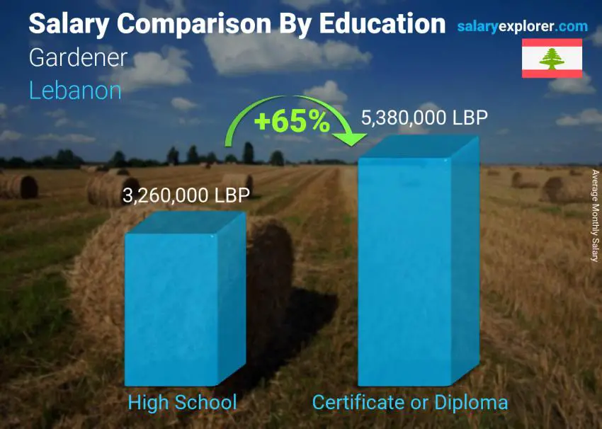 Salary comparison by education level monthly Lebanon Gardener