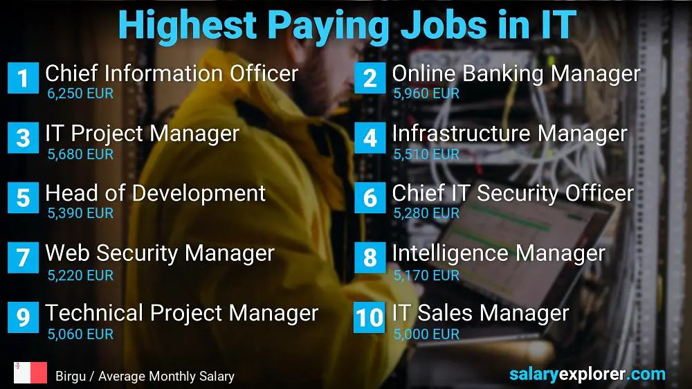 Highest Paying Jobs in Information Technology - Birgu