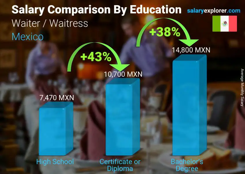 Waiter / Waitress Average Salary in Mexico 2024 The Complete Guide