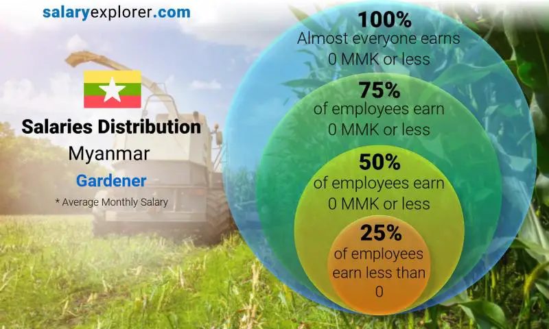 Median and salary distribution Myanmar Gardener monthly