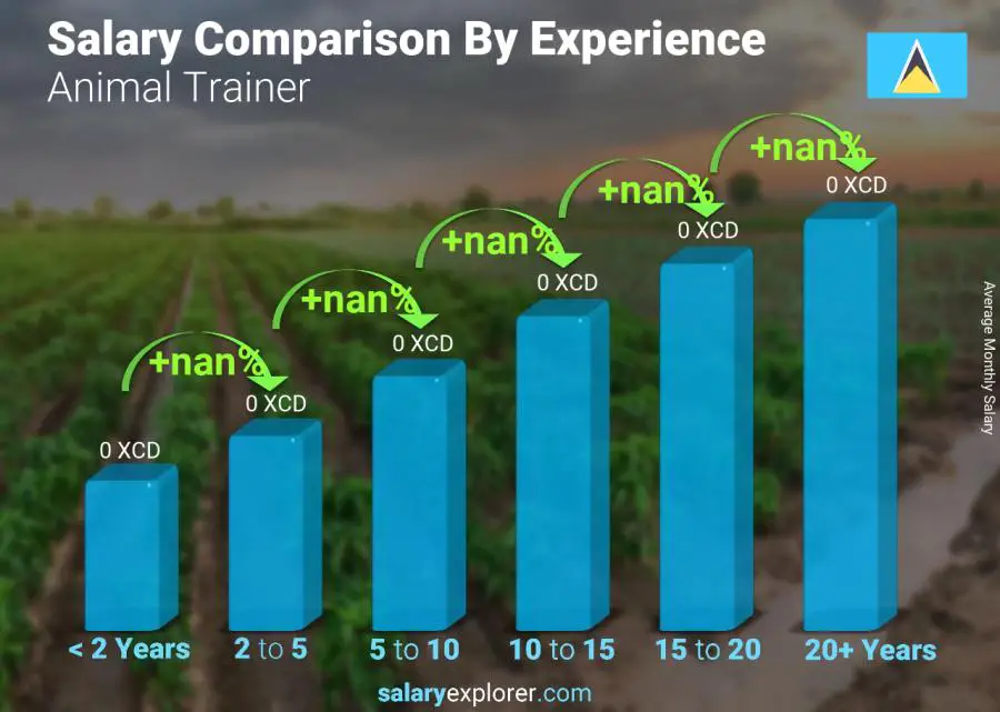 Salary comparison by years of experience monthly Saint Lucia Animal Trainer