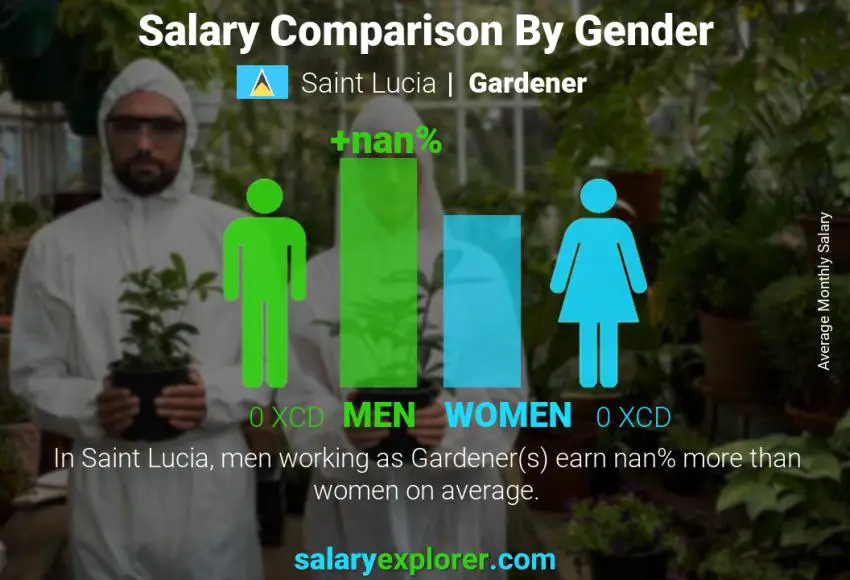 Salary comparison by gender Saint Lucia Gardener monthly