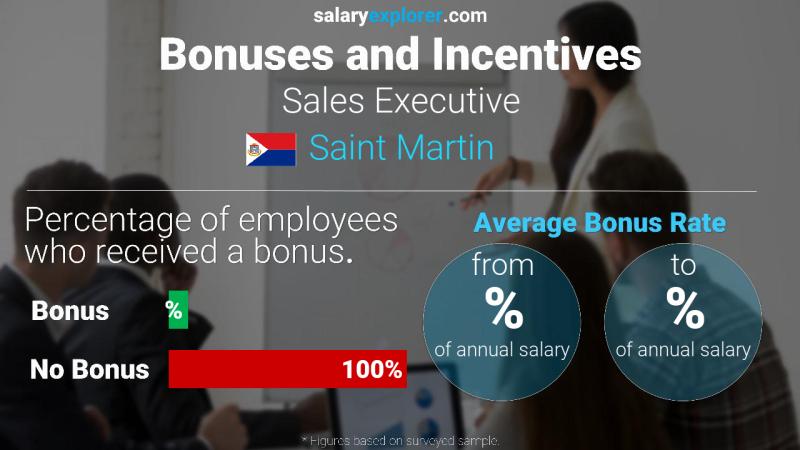 Annual Salary Bonus Rate Saint Martin Sales Executive