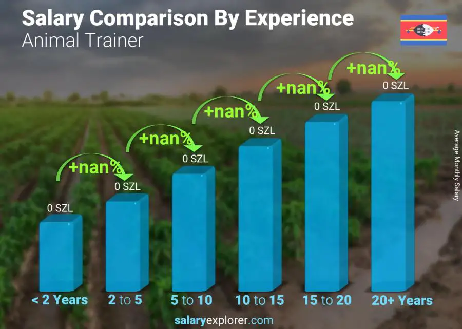 Salary comparison by years of experience monthly Swaziland Animal Trainer