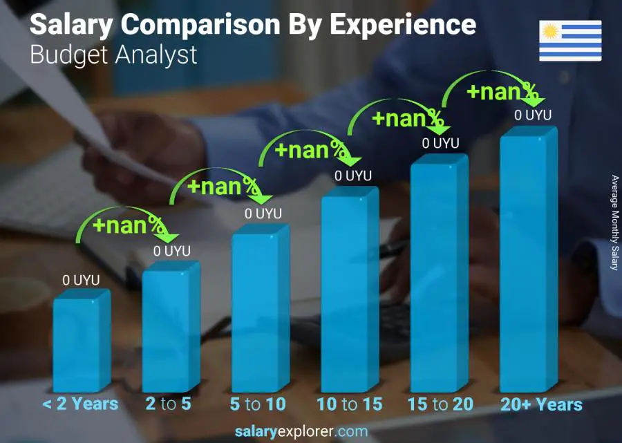 Salary comparison by years of experience monthly Uruguay Budget Analyst