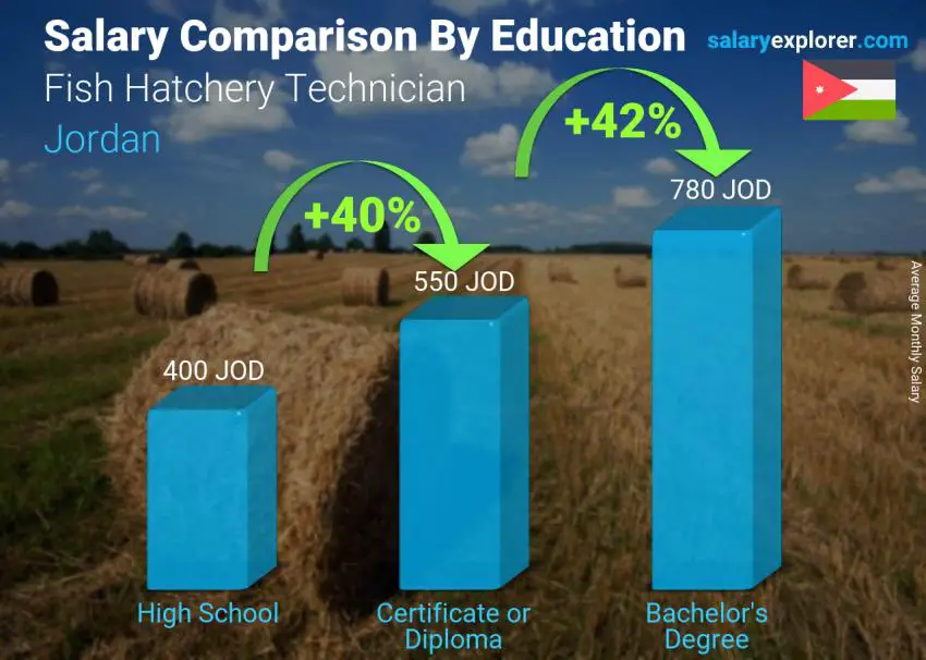 مقارنة الأجور حسب المستوى التعليمي شهري الأردن فني تفريخ اسماك