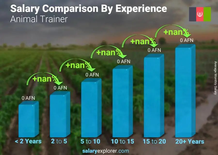 Salary comparison by years of experience monthly Afghanistan Animal Trainer