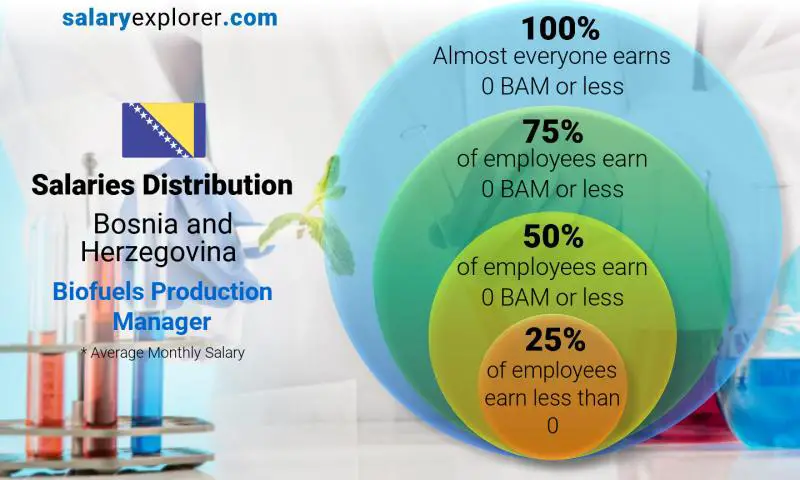 Median and salary distribution Bosnia and Herzegovina Biofuels Production Manager monthly