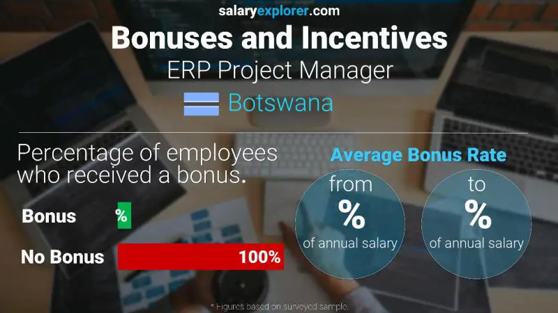 Annual Salary Bonus Rate Botswana ERP Project Manager