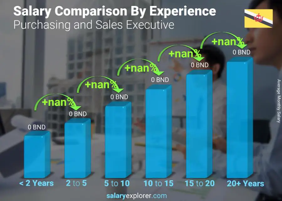 Salary comparison by years of experience monthly Brunei Purchasing and Sales Executive