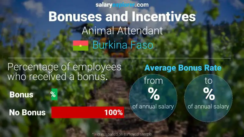 Annual Salary Bonus Rate Burkina Faso Animal Attendant