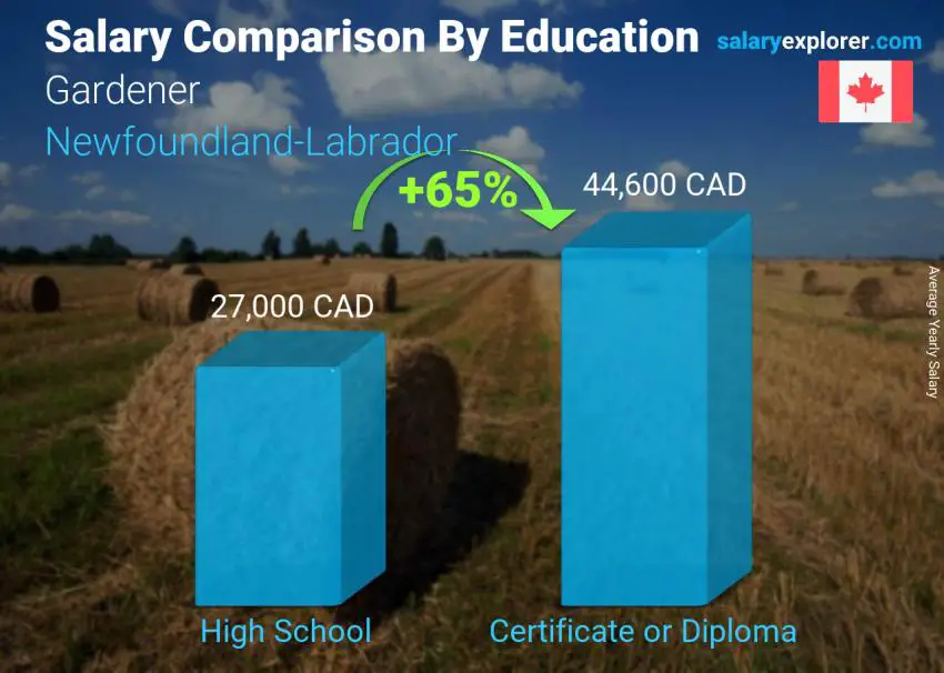 Salary comparison by education level yearly Newfoundland-Labrador Gardener