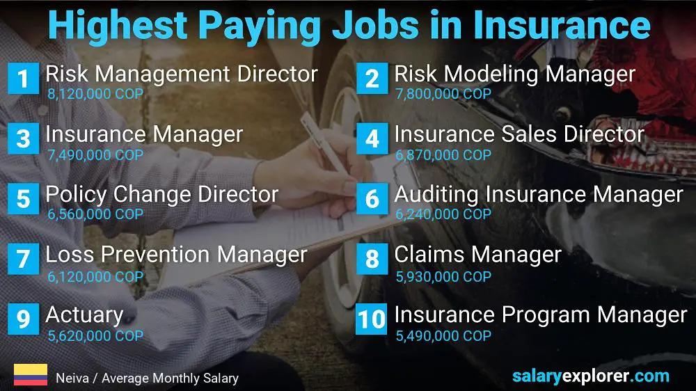 Highest Paying Jobs in Insurance - Neiva