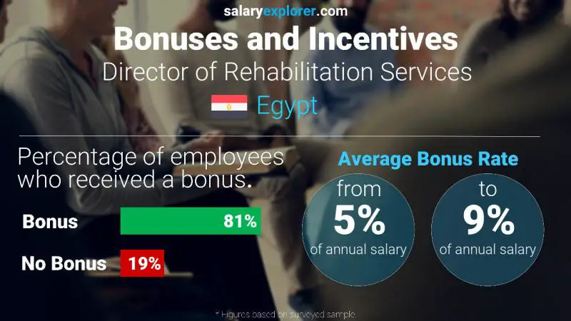 Annual Salary Bonus Rate Egypt Director of Rehabilitation Services