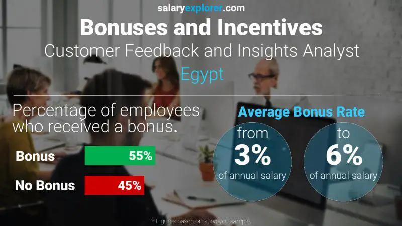 Annual Salary Bonus Rate Egypt Customer Feedback and Insights Analyst