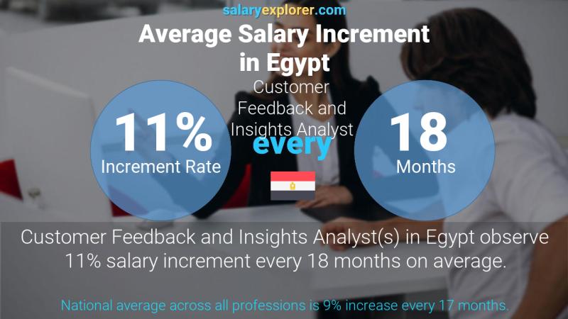 Annual Salary Increment Rate Egypt Customer Feedback and Insights Analyst
