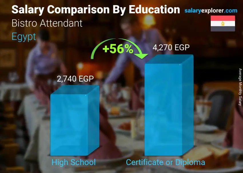 Salary comparison by education level monthly Egypt Bistro Attendant