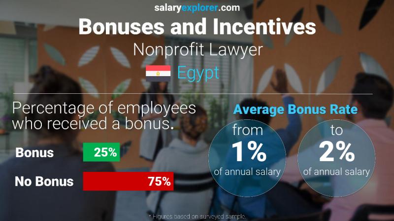 Annual Salary Bonus Rate Egypt Nonprofit Lawyer