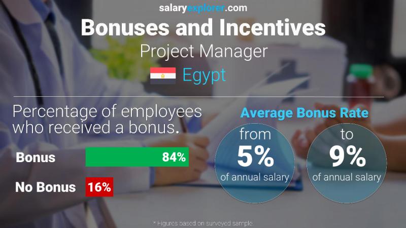 Annual Salary Bonus Rate Egypt Project Manager