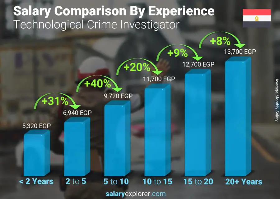 Salary comparison by years of experience monthly Egypt Technological Crime Investigator