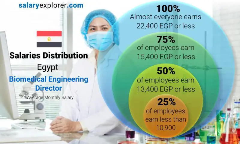 Median and salary distribution Egypt Biomedical Engineering Director monthly