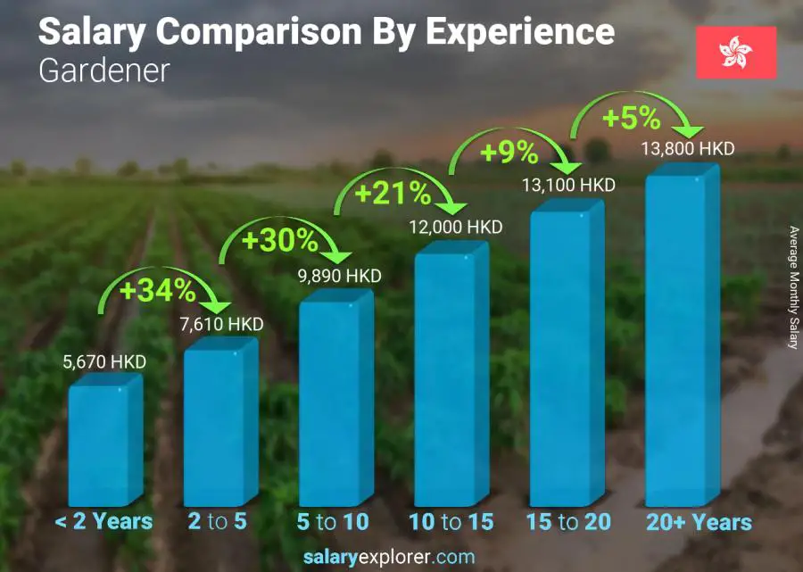 Salary comparison by years of experience monthly Hong Kong Gardener