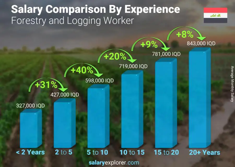 Salary comparison by years of experience monthly Iraq Forestry and Logging Worker