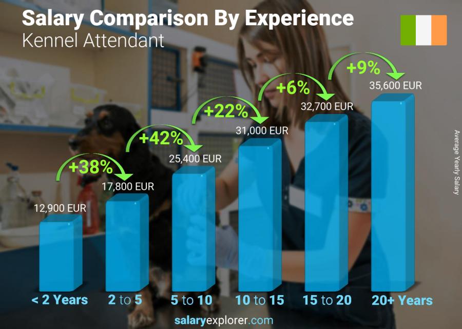 Salary comparison by years of experience yearly Ireland Kennel Attendant