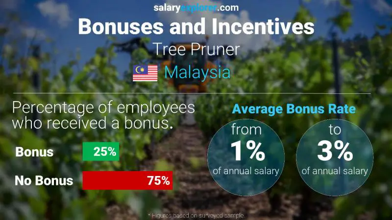 Annual Salary Bonus Rate Malaysia Tree Pruner