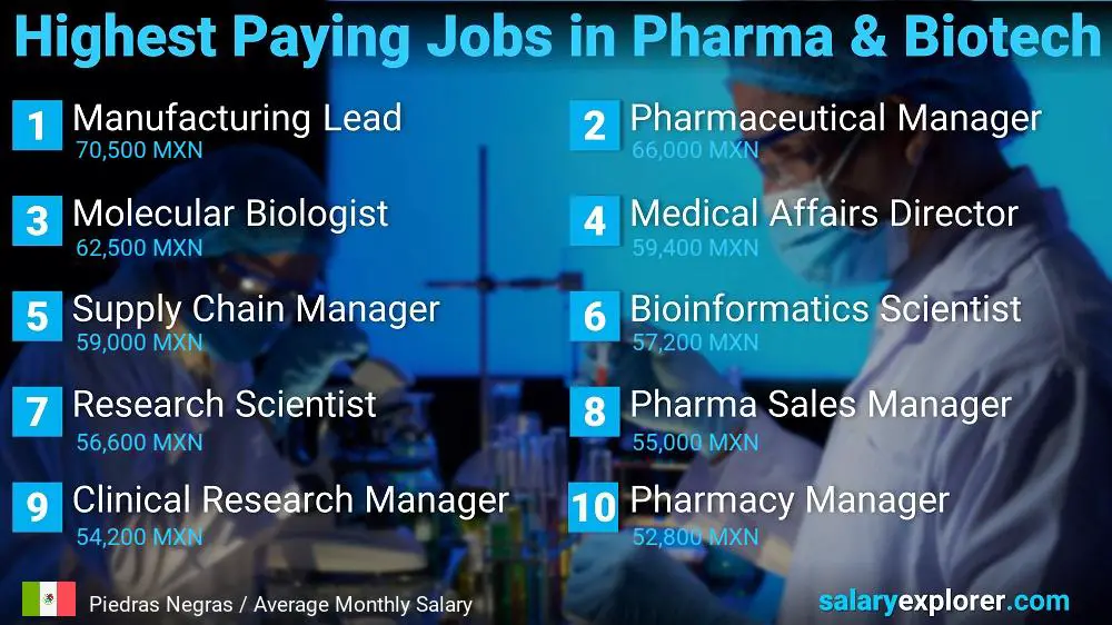Highest Paying Jobs in Pharmaceutical and Biotechnology - Piedras Negras