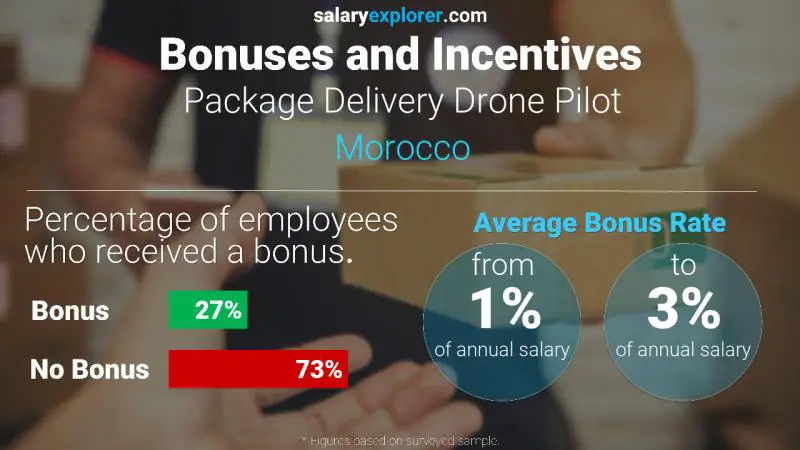 Annual Salary Bonus Rate Morocco Package Delivery Drone Pilot