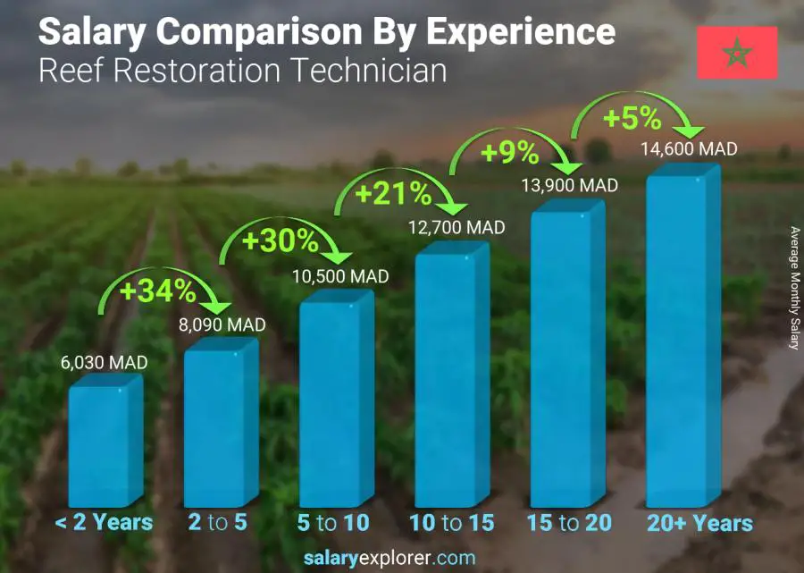 Salary comparison by years of experience monthly Morocco Reef Restoration Technician