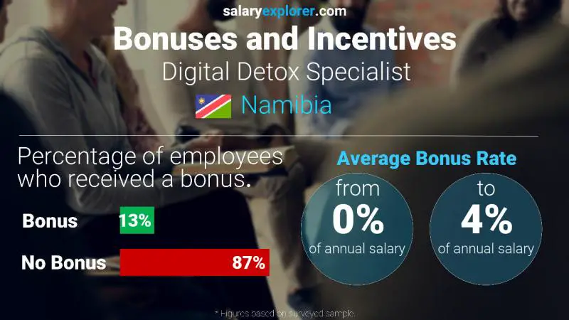 Annual Salary Bonus Rate Namibia Digital Detox Specialist