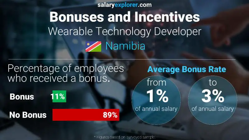 Annual Salary Bonus Rate Namibia Wearable Technology Developer