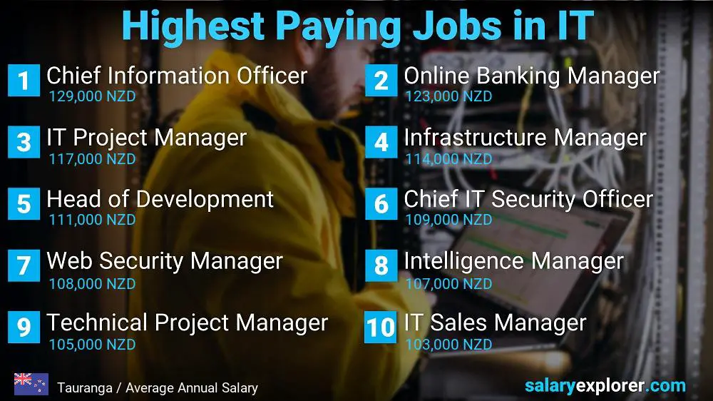 Highest Paying Jobs in Information Technology - Tauranga