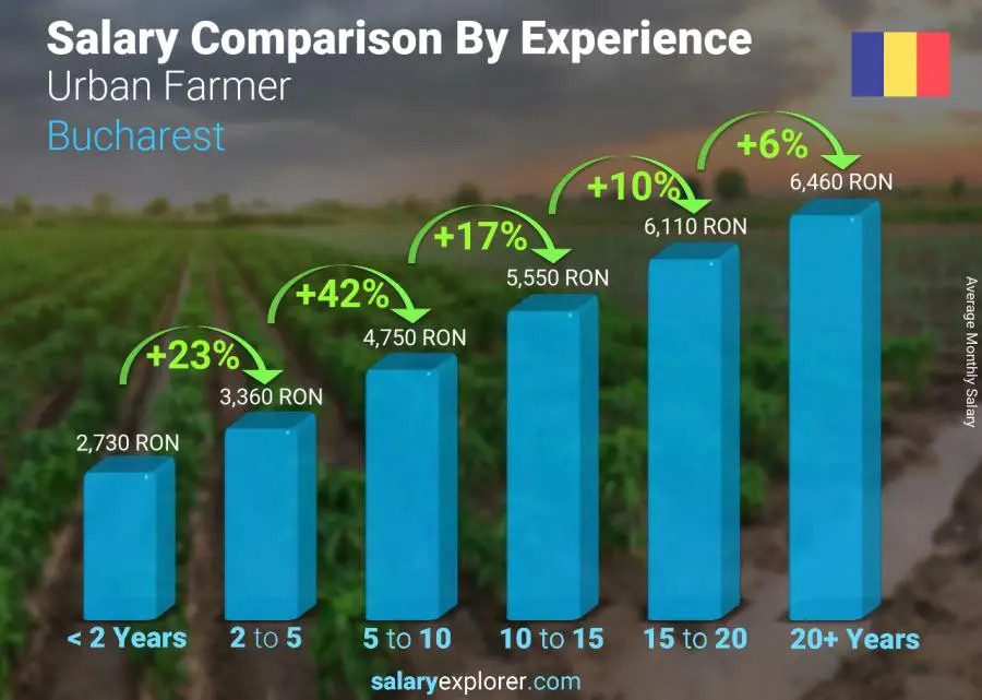 Salary comparison by years of experience monthly Bucharest Urban Farmer