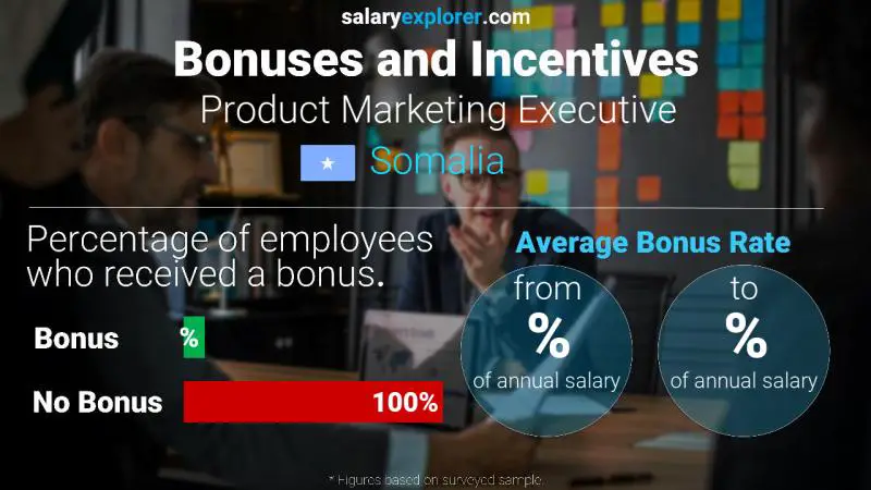 Annual Salary Bonus Rate Somalia Product Marketing Executive